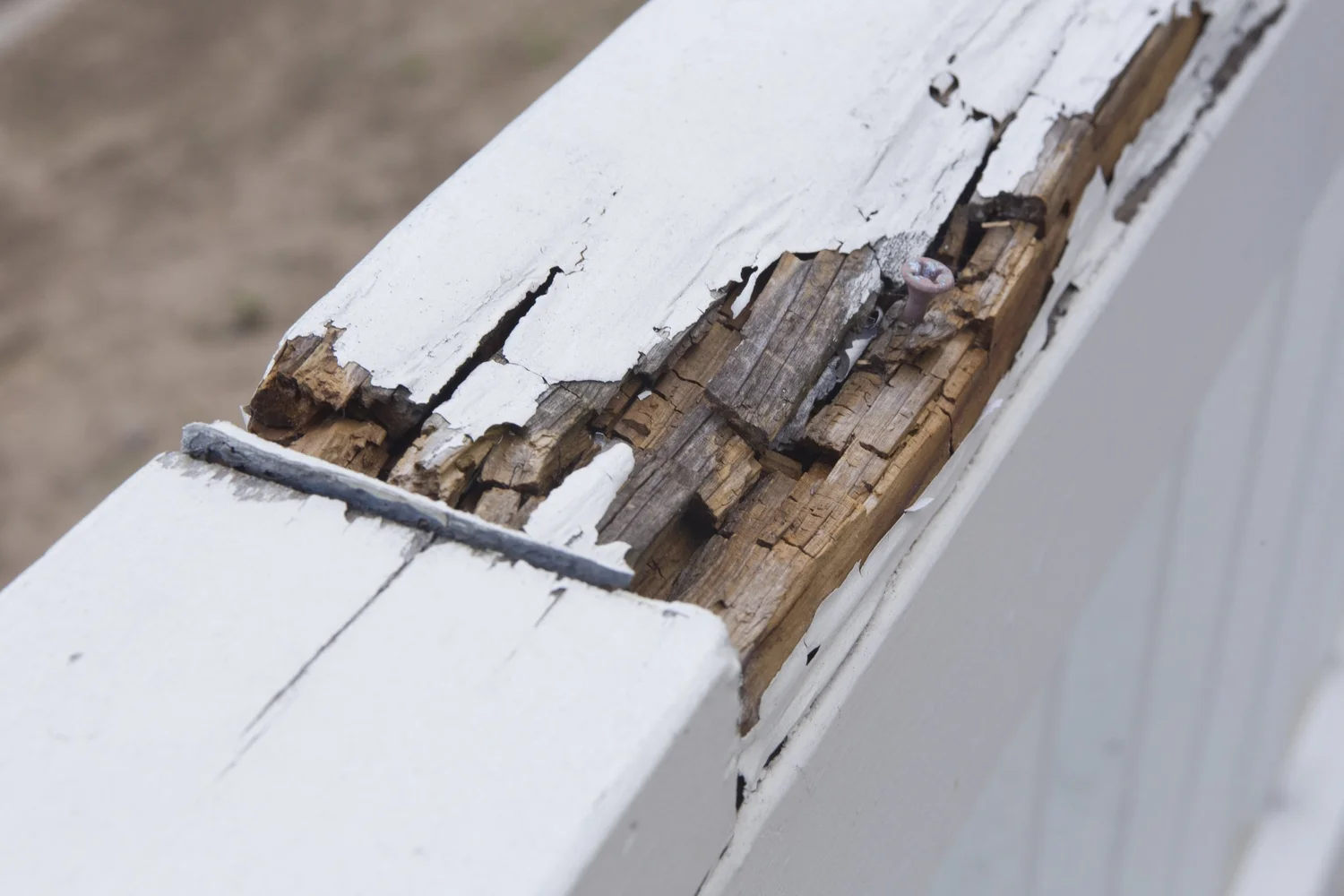 Understanding-Wood-Rot-