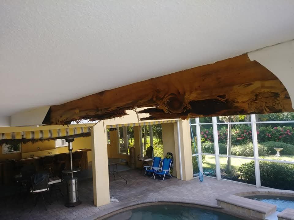 Wood Rot Repair Services